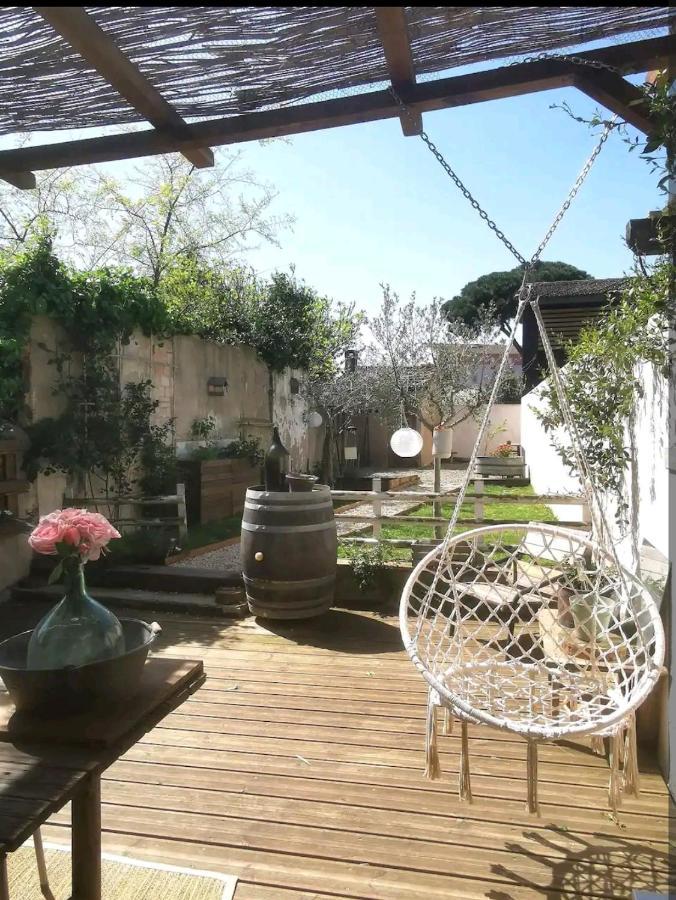La Maison De Marie - Jardin Arbore - Garage Privatif - Netflix Carcassonne Ngoại thất bức ảnh