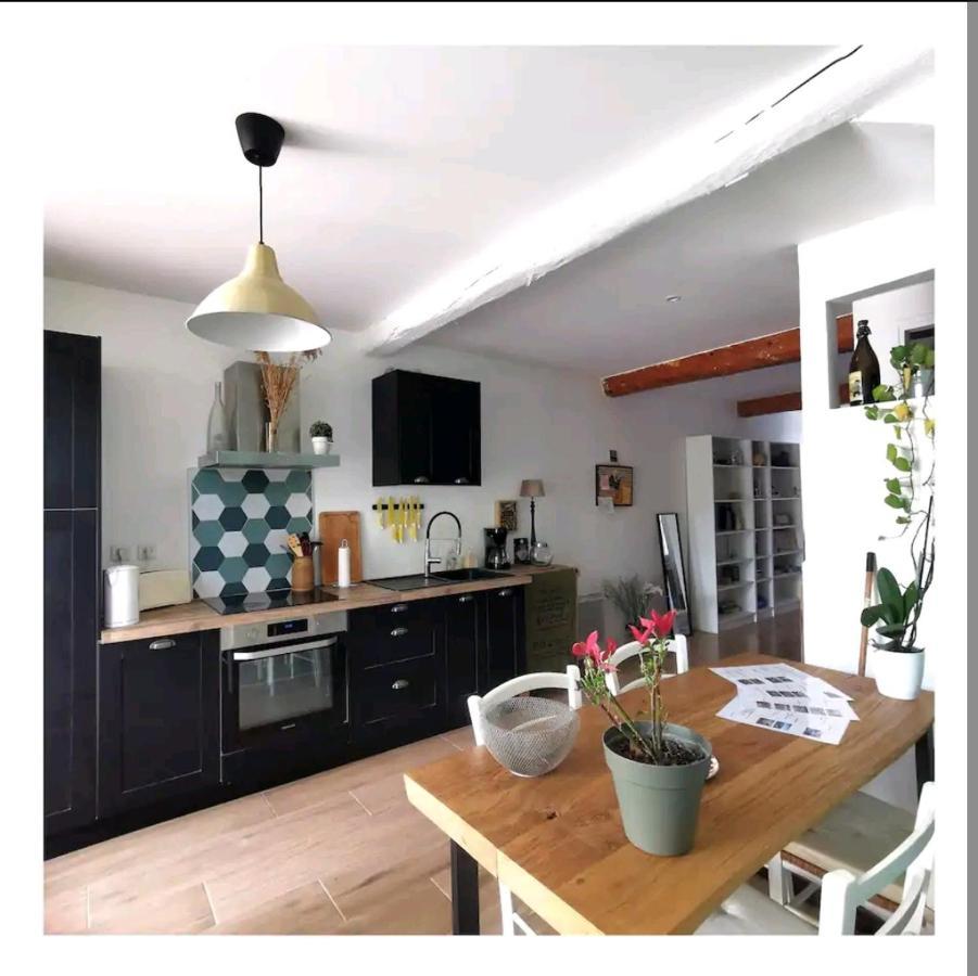 La Maison De Marie - Jardin Arbore - Garage Privatif - Netflix Carcassonne Ngoại thất bức ảnh